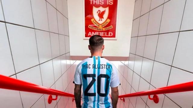 1684632231085015151.jpg 1684632004552.jpg